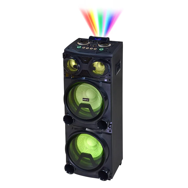 اسپیکر حرفه ای هیسکا مدل 1017